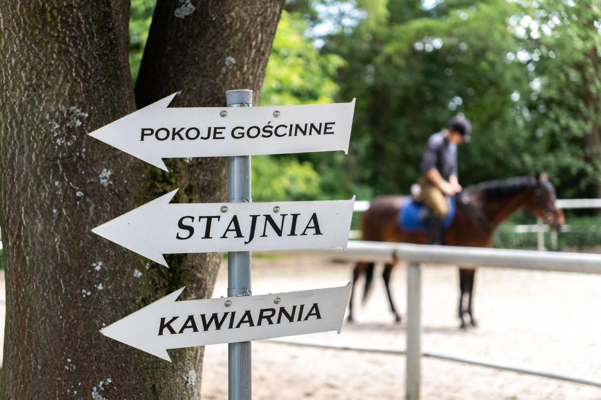 Pokoje Goscinne Cheval Krakow Ngoại thất bức ảnh